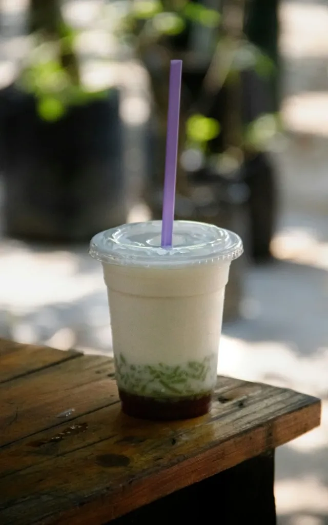Es Cendol (Indonesisch dessertdrankje met kokosmelk en palmsuiker)